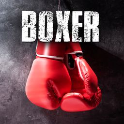 Boxer (英语)