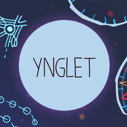 Ynglet (日语, 韩语, 简体中文, 繁体中文, 英语)