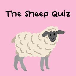 The Sheep Quiz (英语)