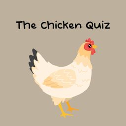 The Chicken Quiz