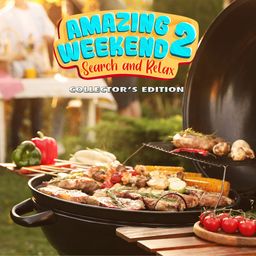 Amazing Weekend 2: Search and Relax Collector's Edition (英语)