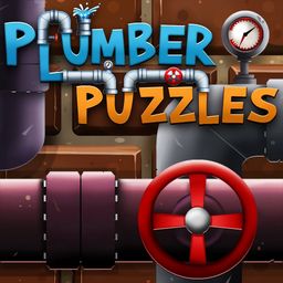 Plumber Puzzles (英语)
